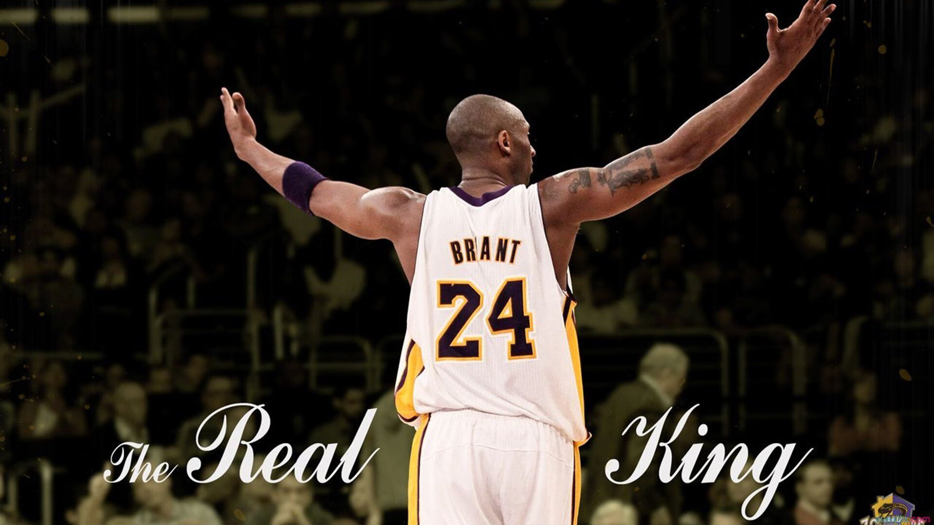 新秀外接手爆发,未来数周将成为关键战力